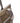 Bolso de hombro KCB Combo